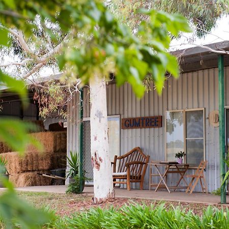Peppertree Farm Mudgee Villa Exteriör bild