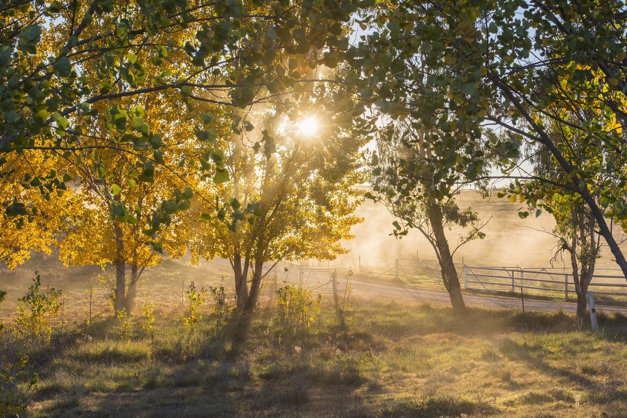 Peppertree Farm Mudgee Villa Exteriör bild